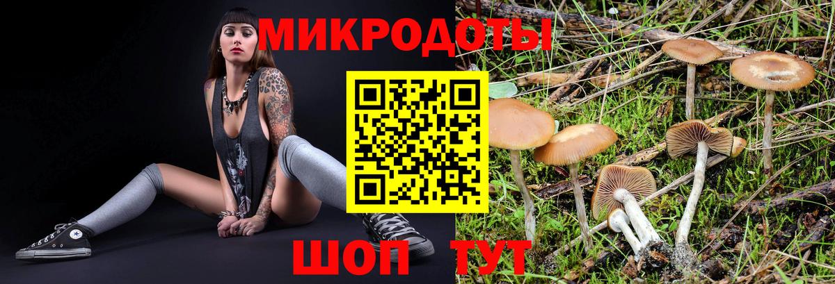 Галлюциногенные грибы мухоморы Сергиев Посад