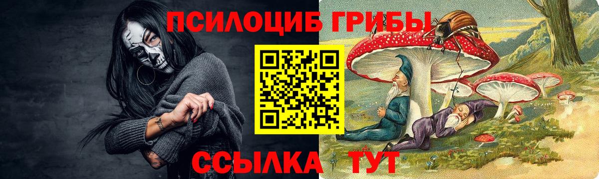 Сергиев Посад  Псилоцибиновые грибы мицелий  Вход с VPN 